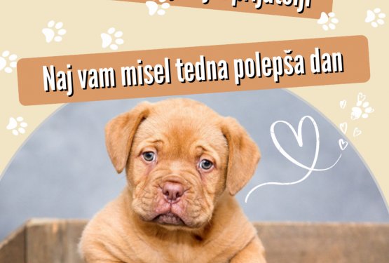 Misel 35. tedna