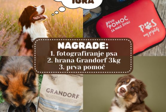 PRAVILA SODELOVANJA V NAGRADNI IGRI &raquo;PASJA FOTKA&laquo; NA FB STRANI PES MOJ PRIJATELJ